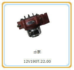 Padrão 12V190t. 22.00 Bomba de água com certificação CE de Jinan Shengdond Chidong