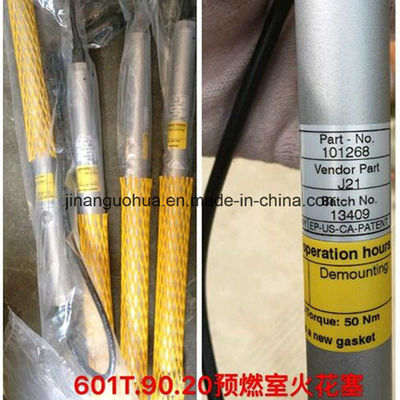 1000 Push Spark Plug para 90.50X/Mot-807bex15/601t. 90.20/B852b3X15-B181 em Competitive