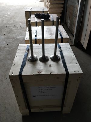 Valva de admissão do barco 12vb. 03.37dseat nbsp 12vb. 03.80.04 Peças sobressalentes para G12V190 Modelo 1211
