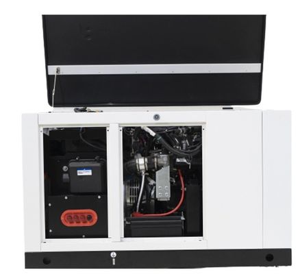 10kw15kw Gás Natural 1Fase Propano Butano Mistura Gás Gás LPG Gerador para o seu benefício