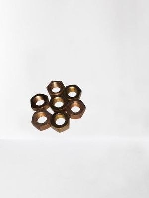 Brux Casting Hex Weld Nuts de aço inoxidável para aplicações de tubos de escape de trabalho pesado