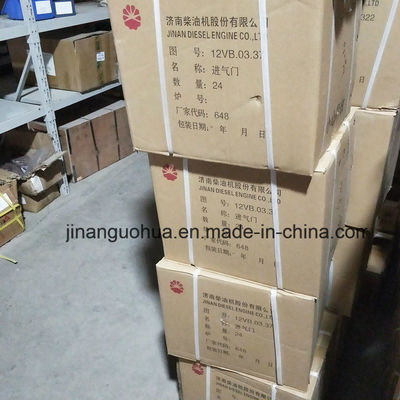 G12V190zldt1-2 Partes de gerador de gás natural de Jinan Bomba de água por componente não-padrão