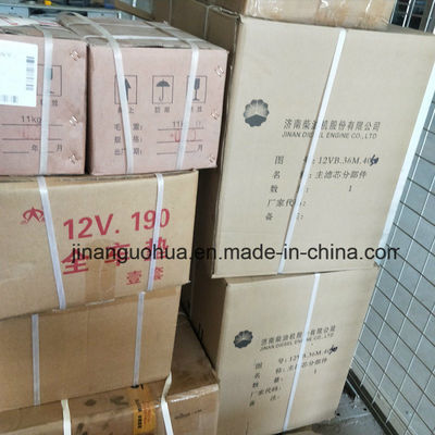 G12V190zldt1-2 Partes de gerador de gás natural de Jinan Bomba de água por componente não-padrão
