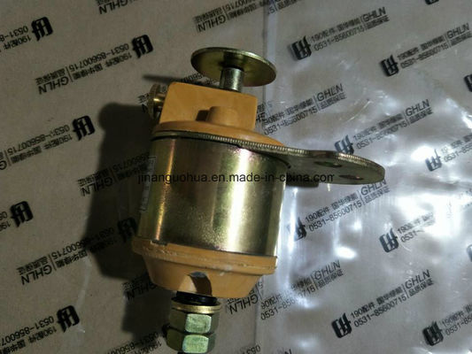 Jinan Guohua gerador diesel pistão pedido personalizado para geradores Jichai