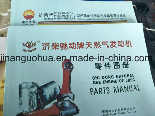 Válvula reguladora de pressão de gás natural 500GF-T Jichai Shengdong 190 cilindro Certificado CE