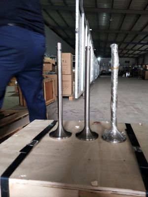 Valva de admissão do barco 12vb. 03.37dseat nbsp 12vb. 03.80.04 Peças sobressalentes para G12V190 Modelo 1211
