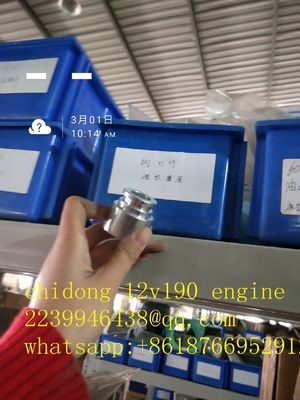 Co1300f-3/25 Modelo Bl12V190 Zl-3 Jinan Partes de motores a diesel com certificação ISO9001