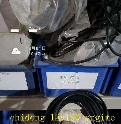 Partes de motores a diesel da série 12V190 de Jinan, certificadas CE, para os requisitos do cliente