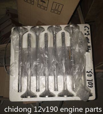 Co810f-3/22 G12V190zl-3 Jinan Diesel Engine Parts 12V190 O Pistão Pin a preço acessível