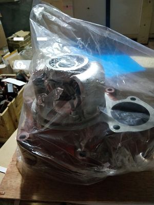 16V190 H16V190zl Motor Diesel Modelo de bomba de água Assy 6016.22D. 00 com personalização
