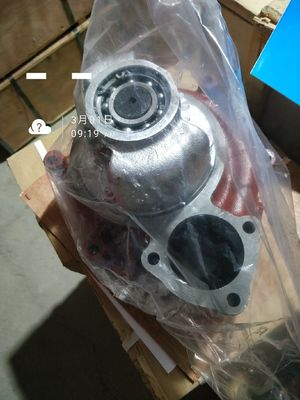 16V190 H16V190zl Motor Diesel Modelo de bomba de água Assy 6016.22D. 00 com personalização