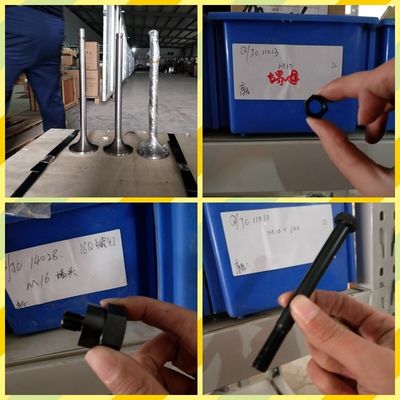 Monitorização de montagem personalizada do motor diesel Chidong H12V190 para o mercado da Malásia