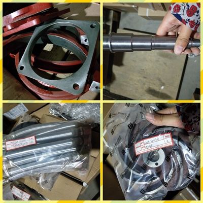 Monitorização de montagem personalizada do motor diesel Chidong H12V190 para o mercado da Malásia