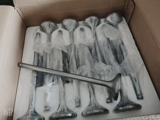 Motor de combustível diesel 4 em linha Jichai Chidong em Jinan para Marine 4190zlc-2