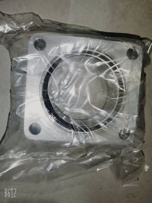 Motor de combustível diesel 4 em linha Jichai Chidong em Jinan para Marine 4190zlc-2