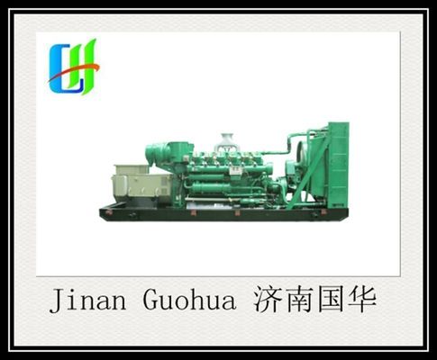 Padrão CE Shengdong 12V190 Série 700kw gerador de gás de biogás para eficiência ideal