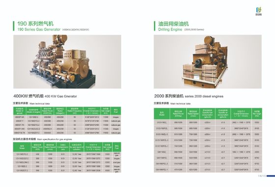 Fonte de gás Gás de 500 kW Pequeno gerador de gás natural G12V190zldt-2 com tecnologia avançada