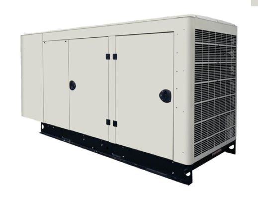 Conjunto de geradores de biogás de 60 kVA para matadouros agrícolas 1500 / 1800 Rmp
